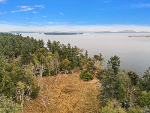 1114 Rainforest Lane, Sidney Island, NL, A1A1A1 | Card Image