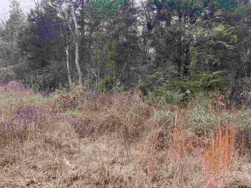 1150 Brazos, Bullard, TX, 75757 | Card Image