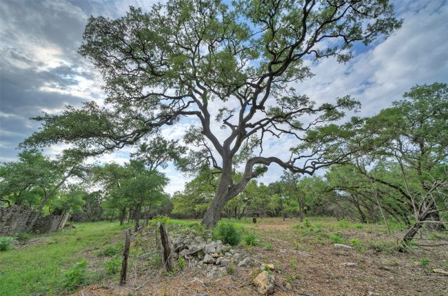 11916 Jim Bridger Dr, Home with 0 bedrooms, 0 bathrooms and null parking in Austin TX | Image 14