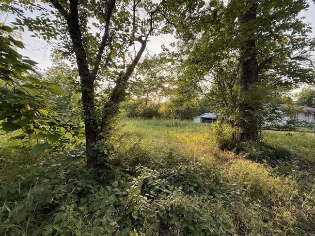 202 Elm St, Home with 0 bedrooms, 0 bathrooms and null parking in Roxton TX | Image 5