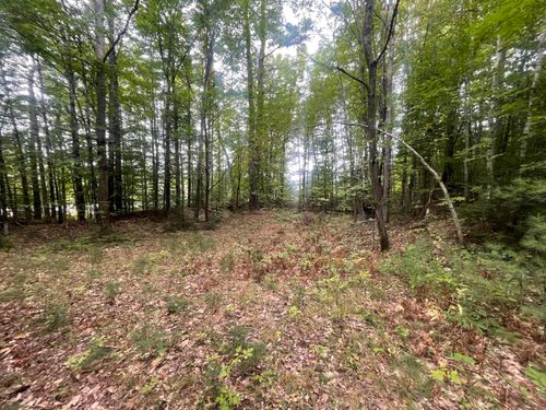 R6L38B New Vineyard Road, New Vineyard, ME, 04956 | Card Image