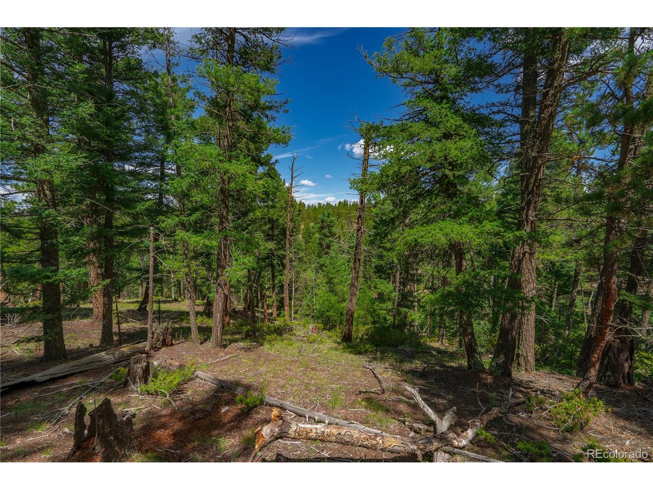 Land in Florissant