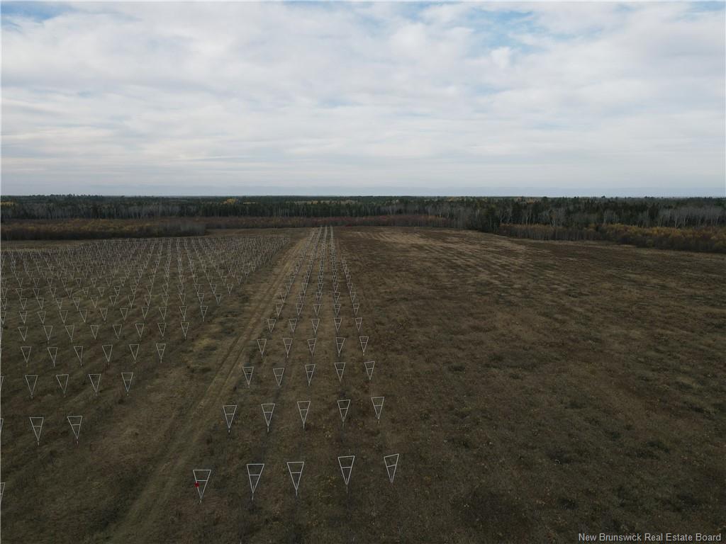 Land in Sainte-Anne-De-Kent 4
