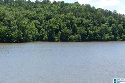 20-Lot 20 Foster Cove Dr, LINEVILLE, AL, 36266-9052 | Card Image