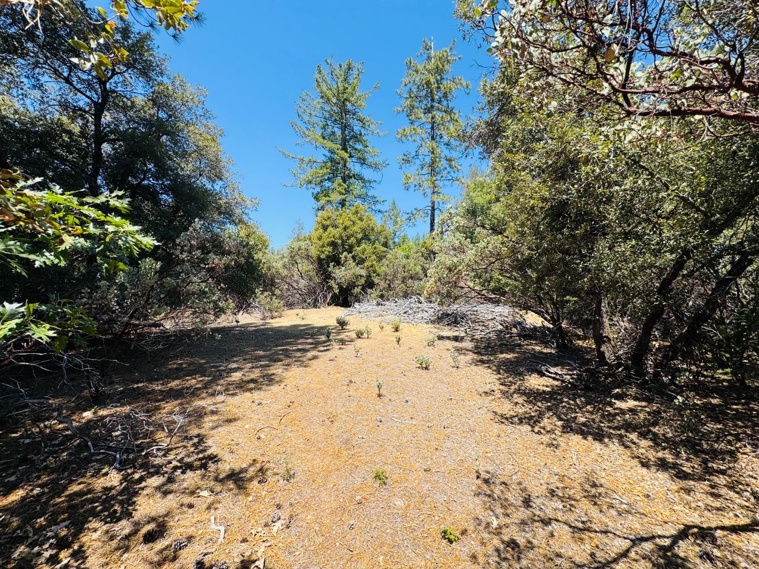 Land in Colfax 3