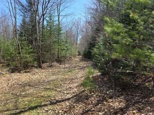 Lot 26-1 Old County Road, West Paris, ME, 04289 | Card Image