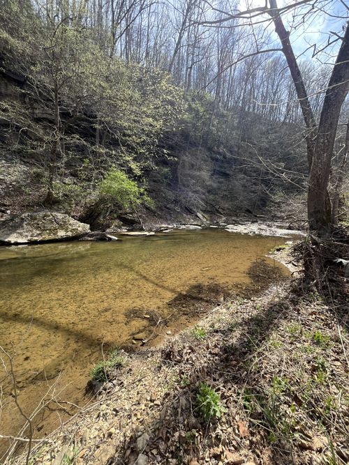 100 Henley Rd, Ashland City, TN, 37015 | Card Image