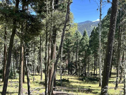 26 Calle De Los Indios, Angel Fire, NM, 87710 | Card Image