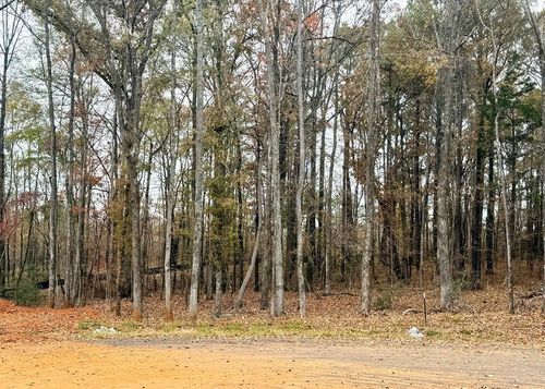 Lot 22 Rolling Meadows Way, Waverly Hall, GA, 31831-0015 | Card Image