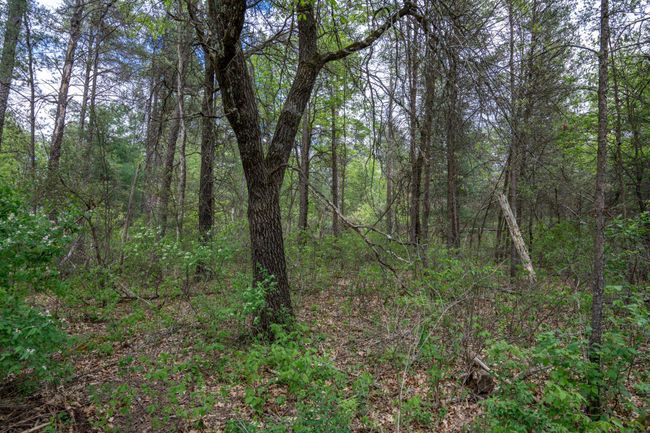 N8378 Timber Trl, House other with 2 bedrooms, 1 bathrooms and null parking in New Lisbon WI | Image 42