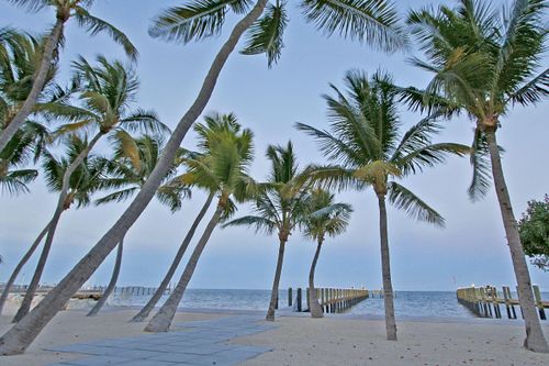 88547 Old Hwy, Tavernier, FL, 33070-4004 | Card Image