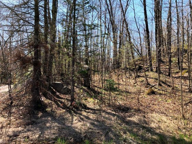 Lot 35 N Alpine Dr, Home with 0 bedrooms, 0 bathrooms and null parking in Upson WI | Image 19