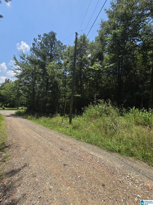 na-39 Thomas Rd, Cordova, AL, 35550-3253 | Card Image