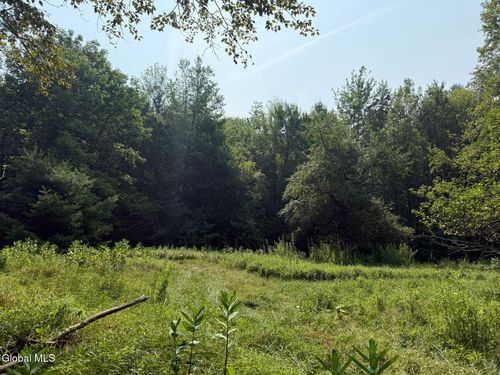 17 Vanderwalker Rd, Chestertown, NY, 12817 | Card Image