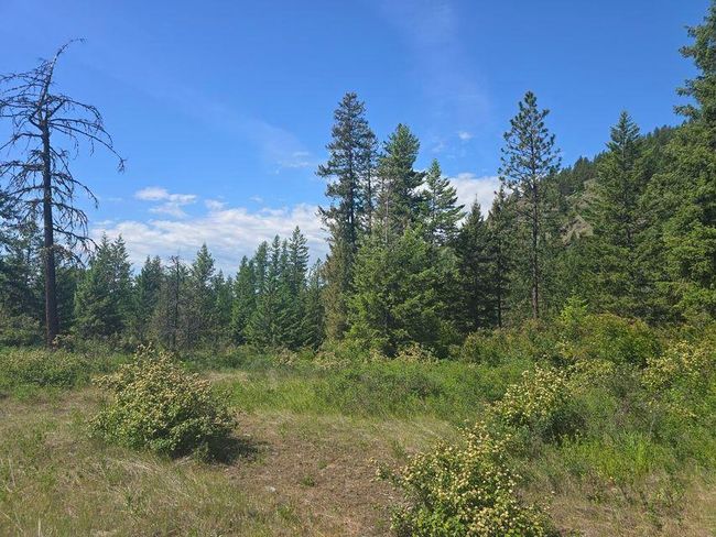 3715 Hill Loop Rd, Home with 0 bedrooms, 0 bathrooms and null parking in Kettle Falls WA | Image 14