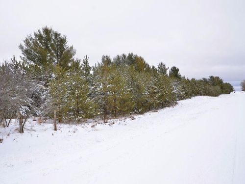 XXX 170th St, Park Rapids, MN, 56470 | Card Image