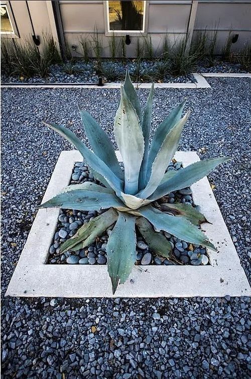 apt-c-2315 N Carroll Ave, Dallas, TX, 75204-3837 | Card Image