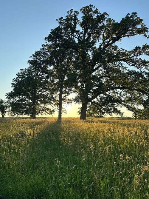 3548 S Paw Paw Rd, Earlville, IL, 60518-7000 | Card Image