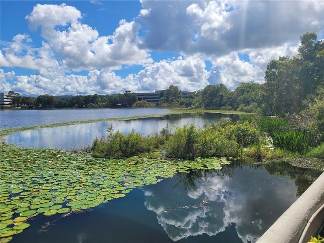 228 - 1000 Winderley Place, Condo with 2 bedrooms, 2 bathrooms and null parking in Maitland FL | Image 47