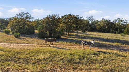 11031 Brock Hwy, Lipan, TX, 76462-6350 | Card Image