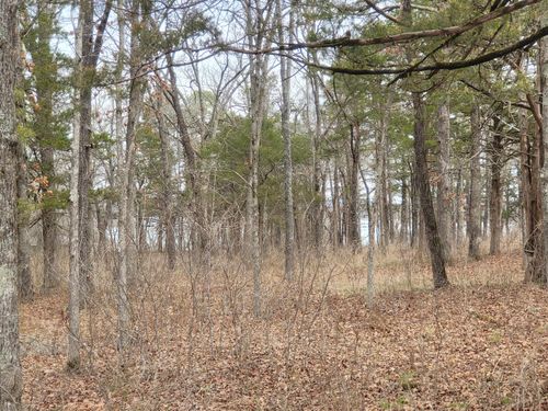 Lot 33 Eagles Point Ln, Shell Knob, MO, 65747 | Card Image