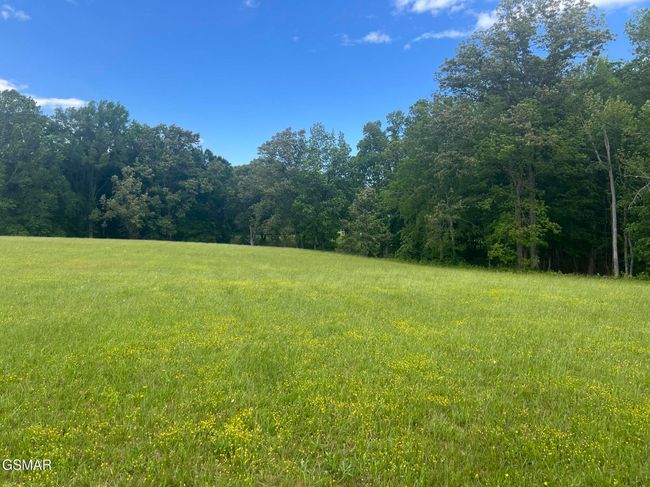 2526 Sunset Blvd, Home with 0 bedrooms, 0 bathrooms and null parking in White Pine TN | Image 20