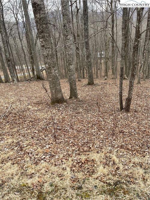 Lot #33 Elk Mountain Parkway, Todd, NC, 28684 | Card Image