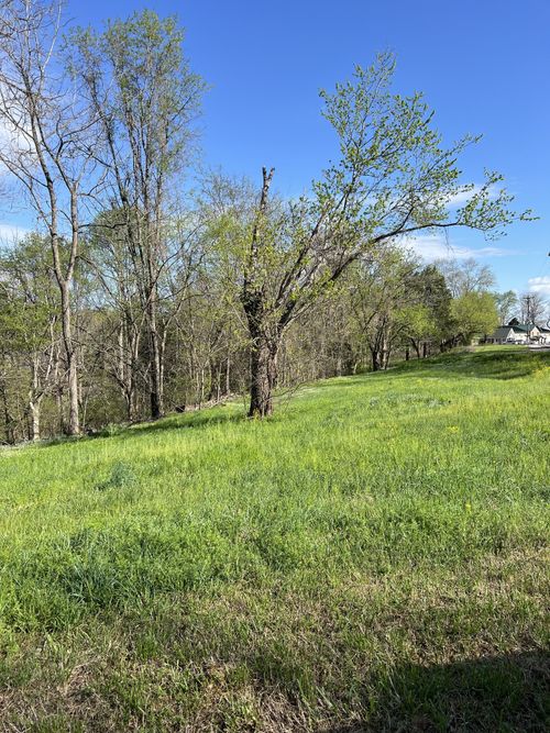 0 Lafayette Rd, Red Boiling Springs, TN, 37150 | Card Image