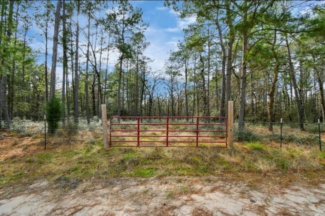0 Rock Creek Rd, Home with 0 bedrooms, 0 bathrooms and null parking in Trinity TX | Image 10