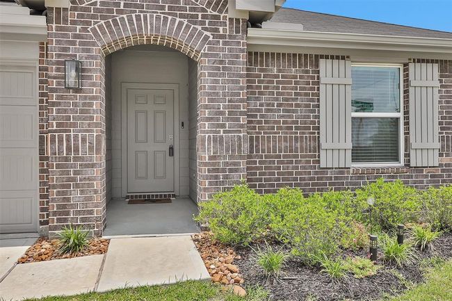 Low maintenance, Texas landscaping. | Image 4
