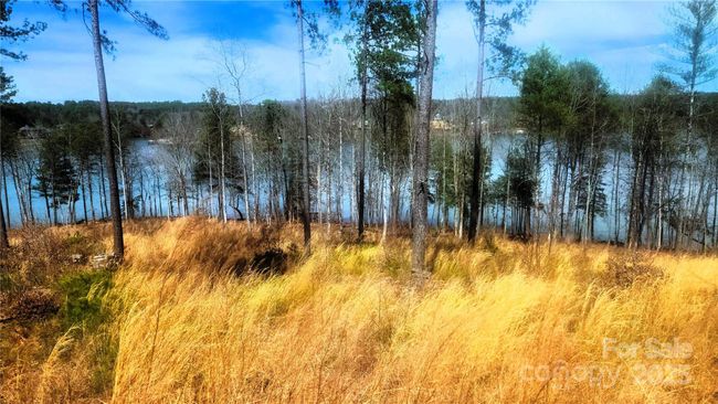 169 - 4083 Grays Peak Summit Summit, Home with 0 bedrooms, 0 bathrooms and null parking in Connelly Springs NC | Image 6