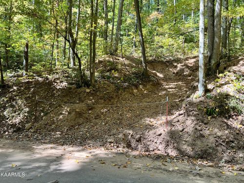 1870 Dyer Hollow Rd, Mohawk, TN, 37810 | Card Image
