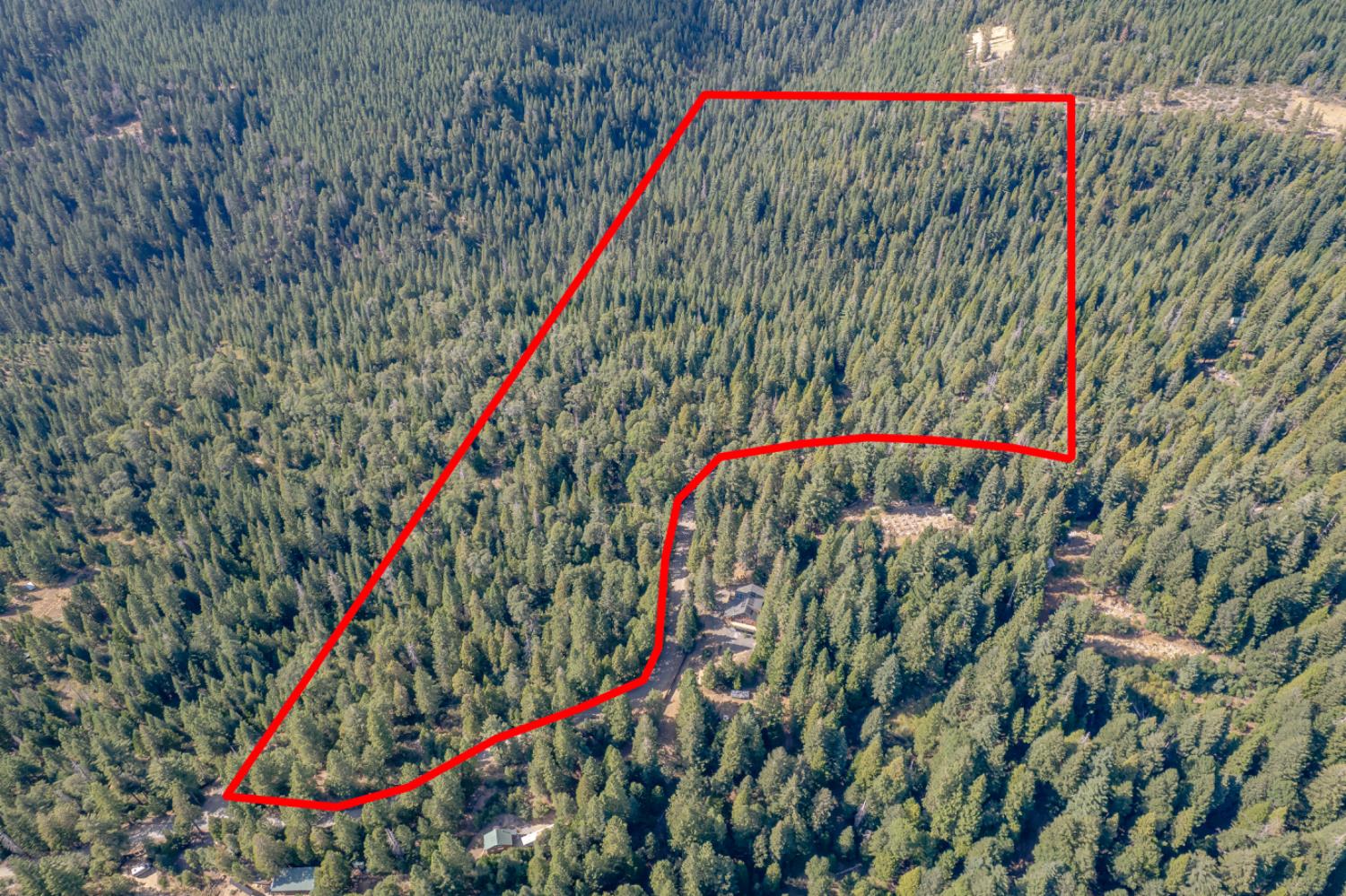 Land in Nevada City 5