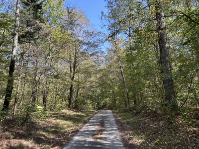 0 Camp Rd, Home with 0 bedrooms, 0 bathrooms and null parking in Hohenwald TN | Image 2