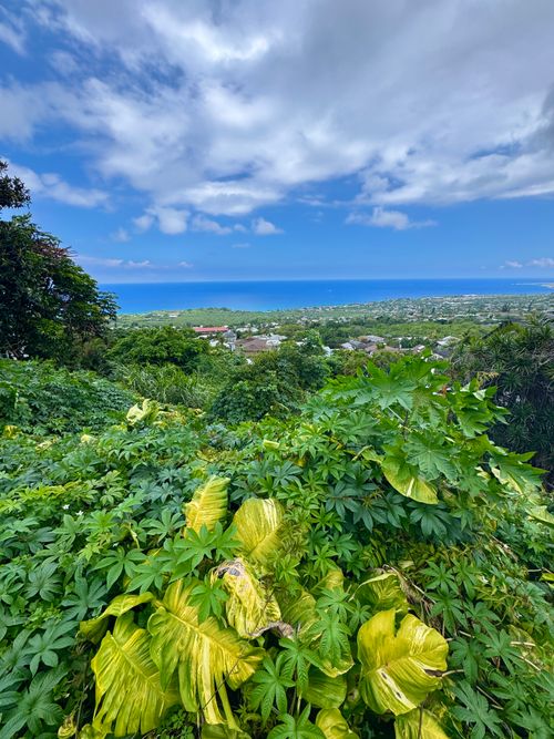 77-6460 Leilani St, Kailua Kona, HI, 96740 | Card Image