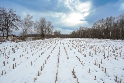 0000 290th St, CADOTT, WI, 54727 | Card Image