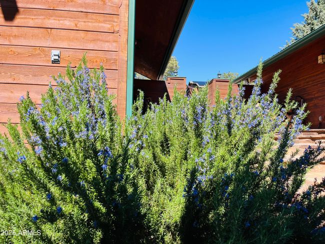 6442 W Ruin Hill Loop, House other with 3 bedrooms, 4 bathrooms and null parking in Pine AZ | Image 48