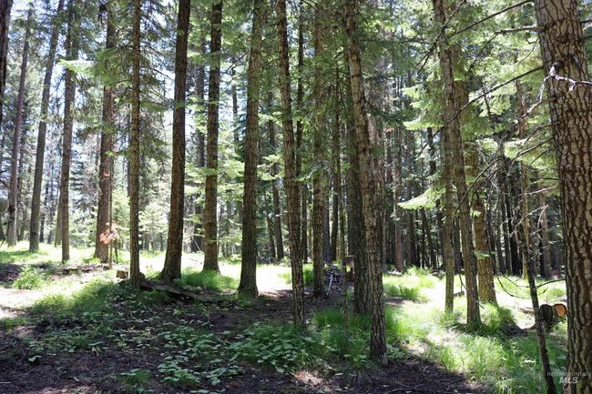 43529 Yellow Pine Ave, House other with 2 bedrooms, 2 bathrooms and 2 parking in Winchester ID | Image 43