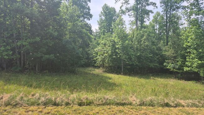 1255 Cherokee Path, Home with 0 bedrooms, 0 bathrooms and null parking in Jasper TN | Image 5