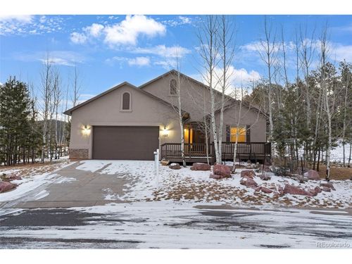 1157 Ptarmigan Dr, Woodland Park, CO, 80863-8004 | Card Image