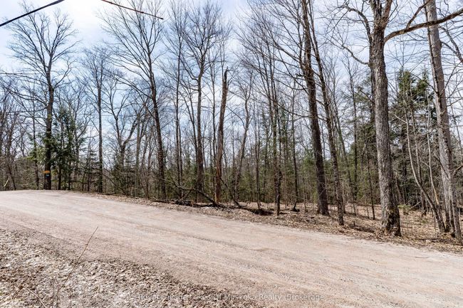 0 Bird Lake Rd, Home with 0 bedrooms, 0 bathrooms and null parking in Bracebridge ON | Image 25