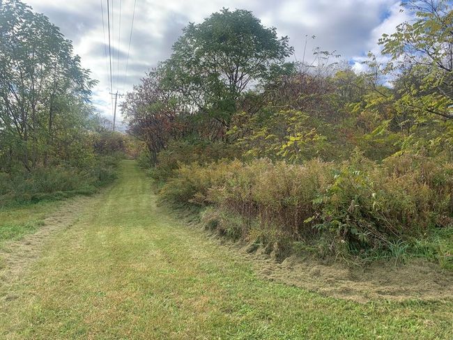 0 Gee St, Home with 0 bedrooms, 0 bathrooms and null parking in Van Etten NY | Image 6