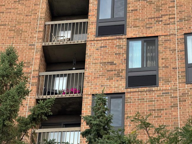 green house view.jpeg | Image 15
