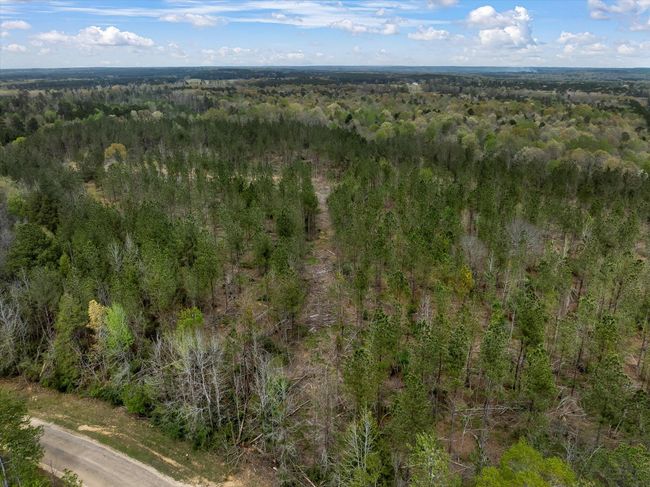 19-DJI_0712 | Image 5