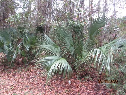 358 20th St, Apalachicola, FL, 32320 | Card Image