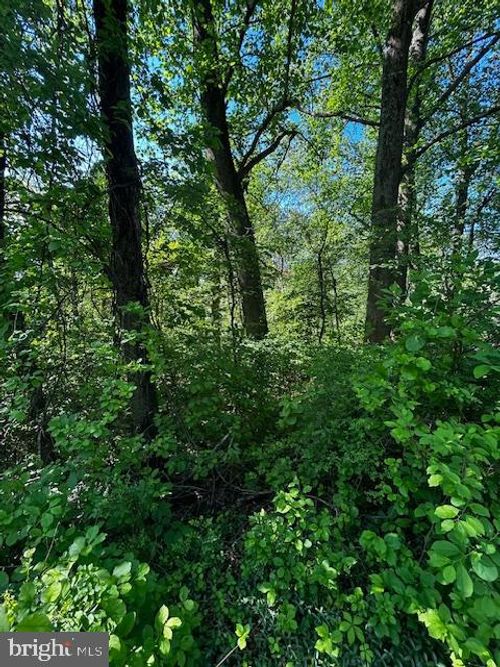 81 Mile Trl, FAIRFIELD, PA, 17320-8464 | Card Image