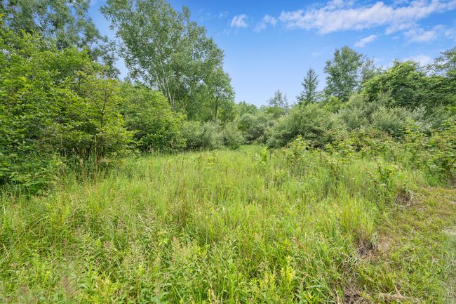 5004 N Cypress Ave, Home with 0 bedrooms, 0 bathrooms and null parking in Big Rapids MI | Image 15