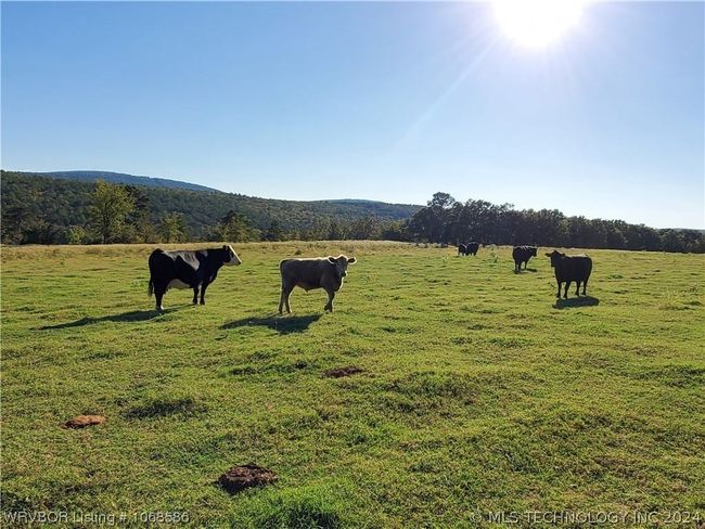 40079 E County Road 1315, House other with 3 bedrooms, 4 bathrooms and null parking in McCurtain OK | Image 42