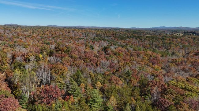 DJI_20241102133506_0076_D | Image 11
