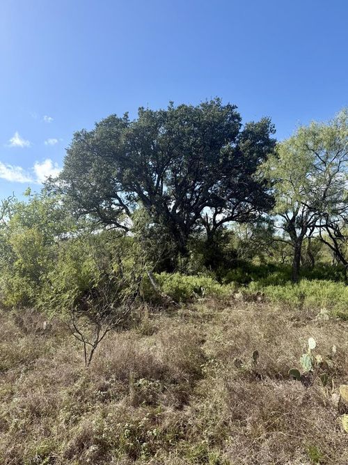 1981 Kothman Rd, Mason, TX, 76856 | Card Image
